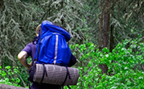 【精华】四年级爬山作文(精选59篇)