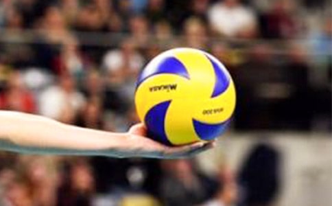 排球比赛的作文(精选28篇)
