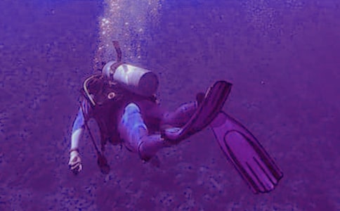 关于学潜水的作文150字