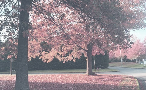 大班班主班秋季个人计划(精选20篇)