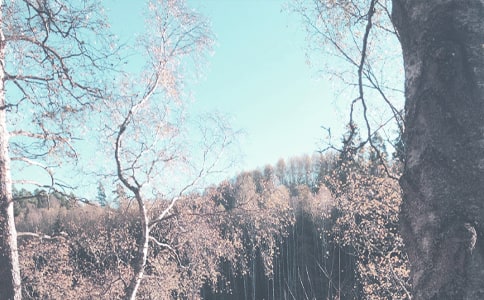 秋季学期工作计划(精选13篇)