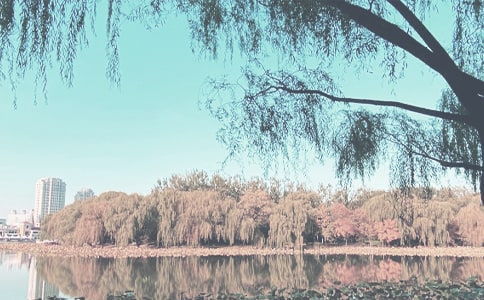 托班秋季学期保育员工作计划(精选10篇)