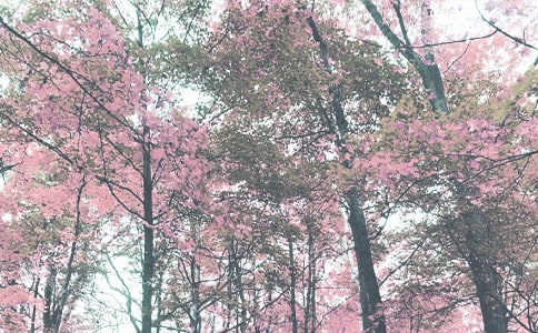 学前班保育员秋季个人工作计划(通用10篇)