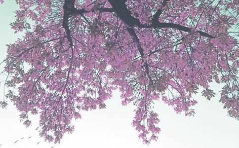 小学秋季工作计划(精选15篇)