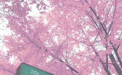 秋季思政第一课观后感