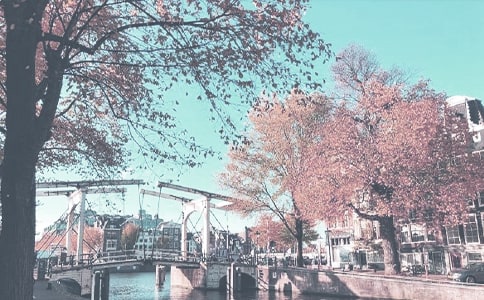 秋季时装秀活动方案(精选13篇)