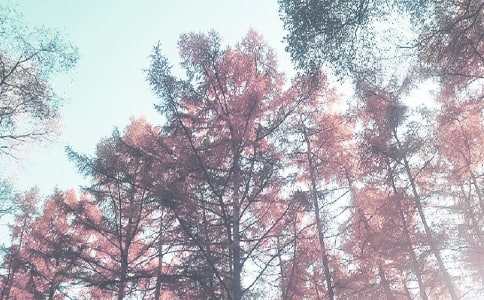 秋季六年级德育工作计划(精选10篇)