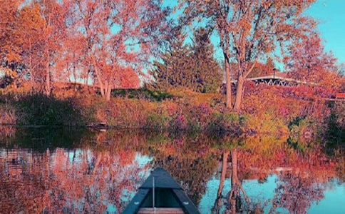 关于秋日黄昏的作文(精选93篇)