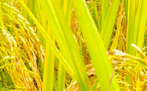 秋收心得感想(通用24篇)