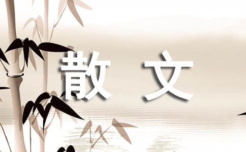 中条山的风散文