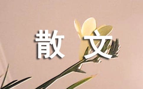 寂寞的村庄散文(精选24篇)