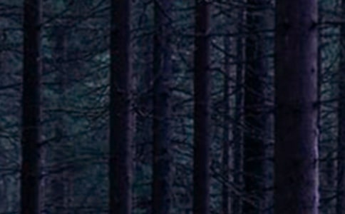 村委会森林防火宣传简报范文(通用17篇)