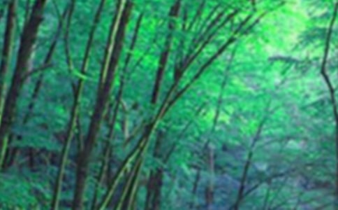 森林谜案读后感(精选22篇)