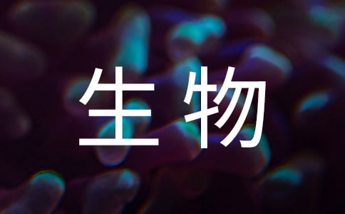 生物教学工作计划(通用20篇)
