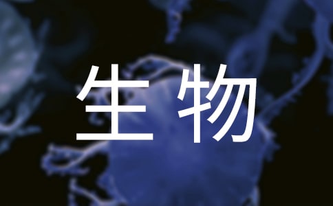 高二生物教学工作计划(通用12篇)