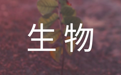 高一下学期生物教学工作计划(精选15篇)