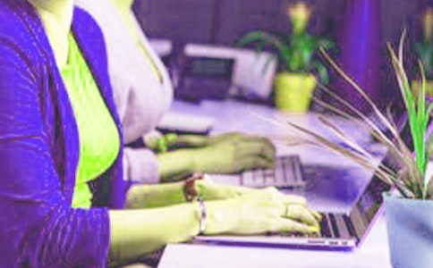 货代的实习报告