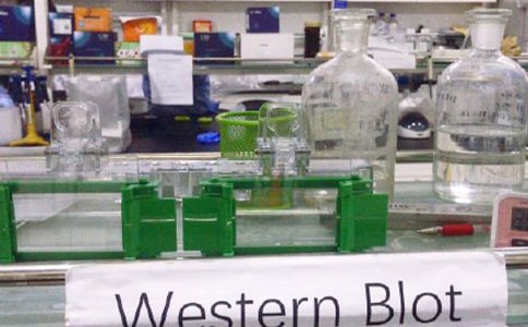 高校实验室安全年度报告(精选14篇)