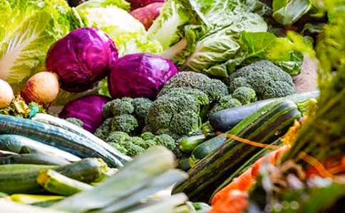 蔬菜歌教案(精选23篇)