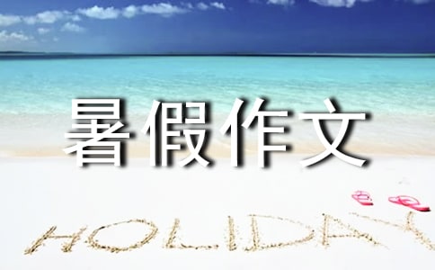 开心的暑假作文(精选30篇)