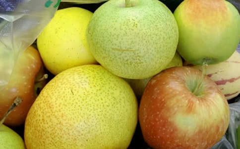 《水果品尝会》小班科学教案(精选12篇)