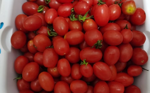 《水果串》小班科学教案(通用10篇)