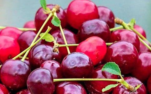 水果的想象作文(精选23篇)