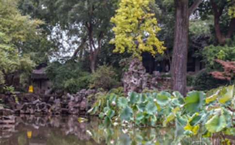 苏州园林的导游词(精选25篇)