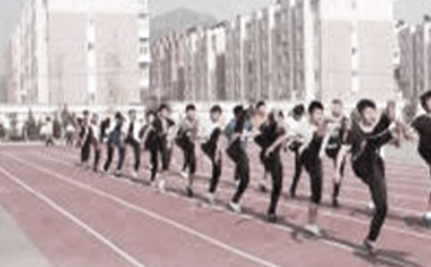 高年级体育教学计划(通用15篇)