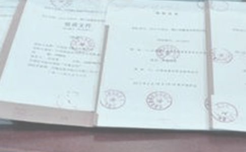 招投标实训总结(精选17篇)