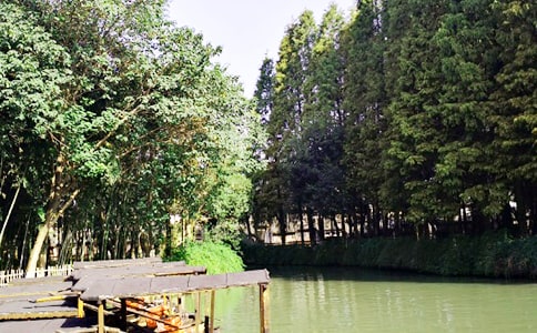 乌镇游记作文(通用27篇)