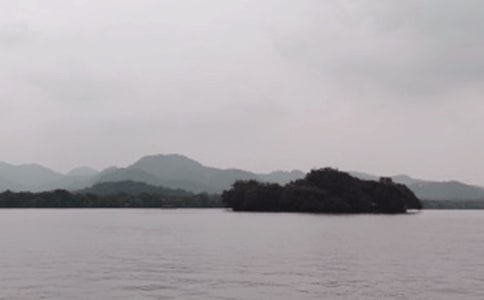 暑假游西湖作文(精选51篇)