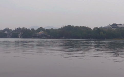 印象西湖作文(精选51篇)