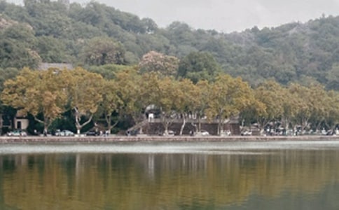 西湖导游词(精选29篇)