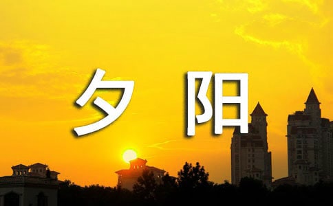 夕阳即景作文(精选43篇)