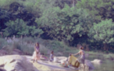 洗衣服作文(精选49篇)