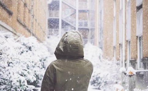 下雪了学生作文(精选50篇)