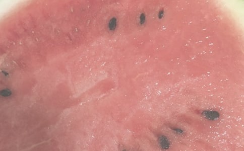 夏日游记100字作文(通用29篇)