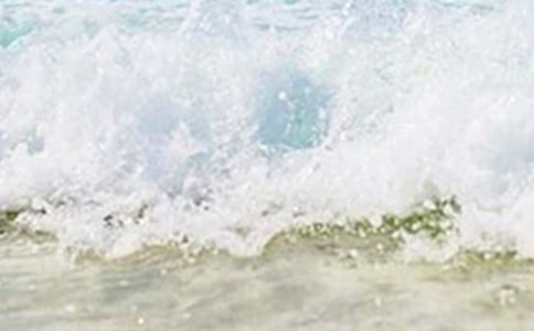 描写夏天初中作文(精选38篇)