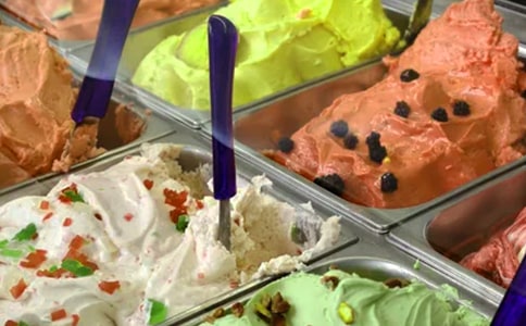 银顶针的夏天读后感(精选20篇)