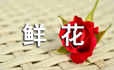 精选鲜花送给妈妈作文16篇