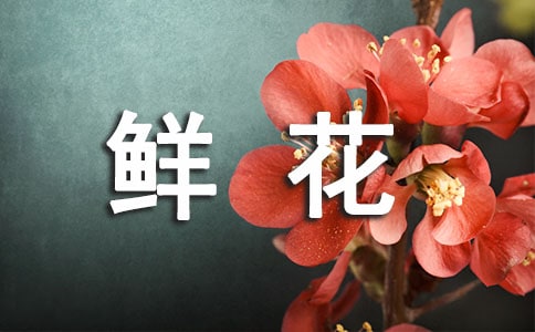 路的尽头鲜花盛开作文(精选14篇)