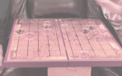 我爱象棋作文(通用34篇)