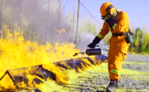 消防的演练总结(精选25篇)