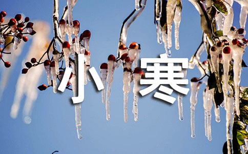 小寒初中作文(精选29篇)