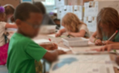 【精选】小学生优秀作文15篇