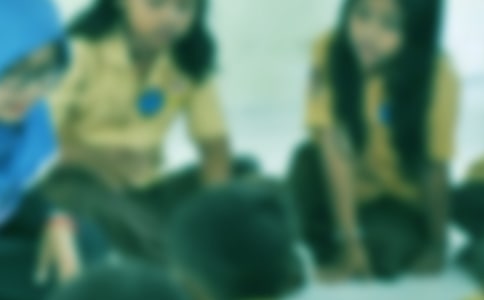 我家来了一只蜡嘴鸟小学生作文950字(精选6篇)