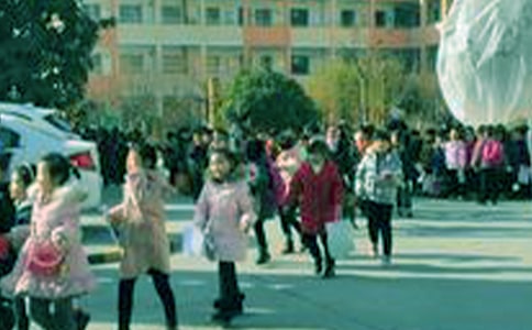 小学生周记(精选48篇)