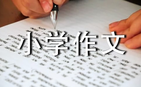 再见了,我的小学作文(通用26篇)