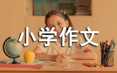 奇遇记小学作文(通用37篇)